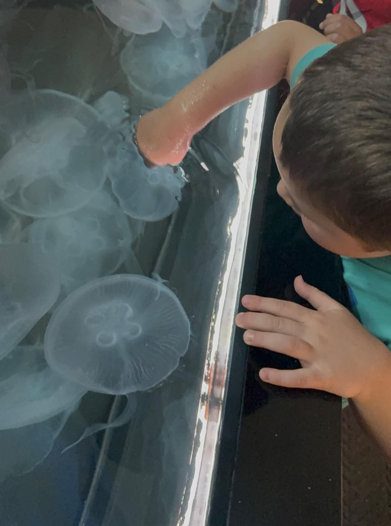 Trip to the aquarium is always fun 🐢 

I think this was the first time we saw the turtle up close 🤩